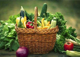 籃球場圍網廠家